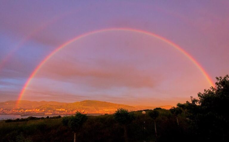 Instagram post from t4m. This post is in position 1.